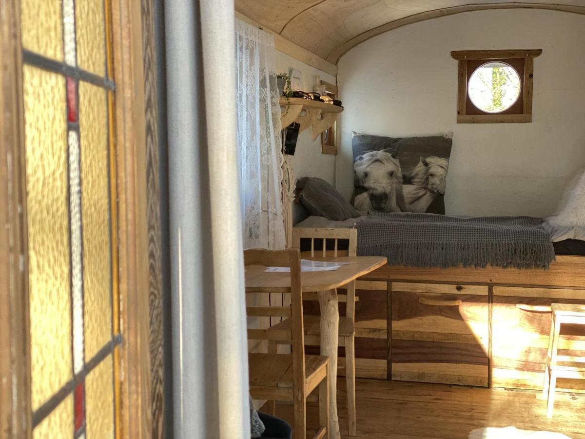 Pipowagen Het Oventje Villa Zeeland Exteriör bild
